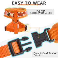 SCENEREAL correa XS naranja, longitud adecuada para caminar sin tirones.