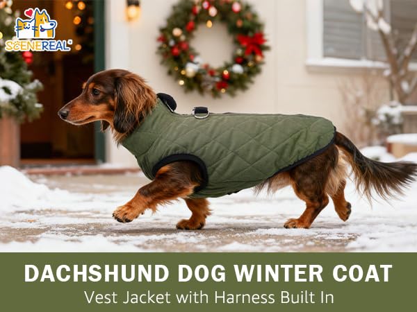 SCENEREAL dachshund chaleco invierno con corte en barriga para salidas prácticas