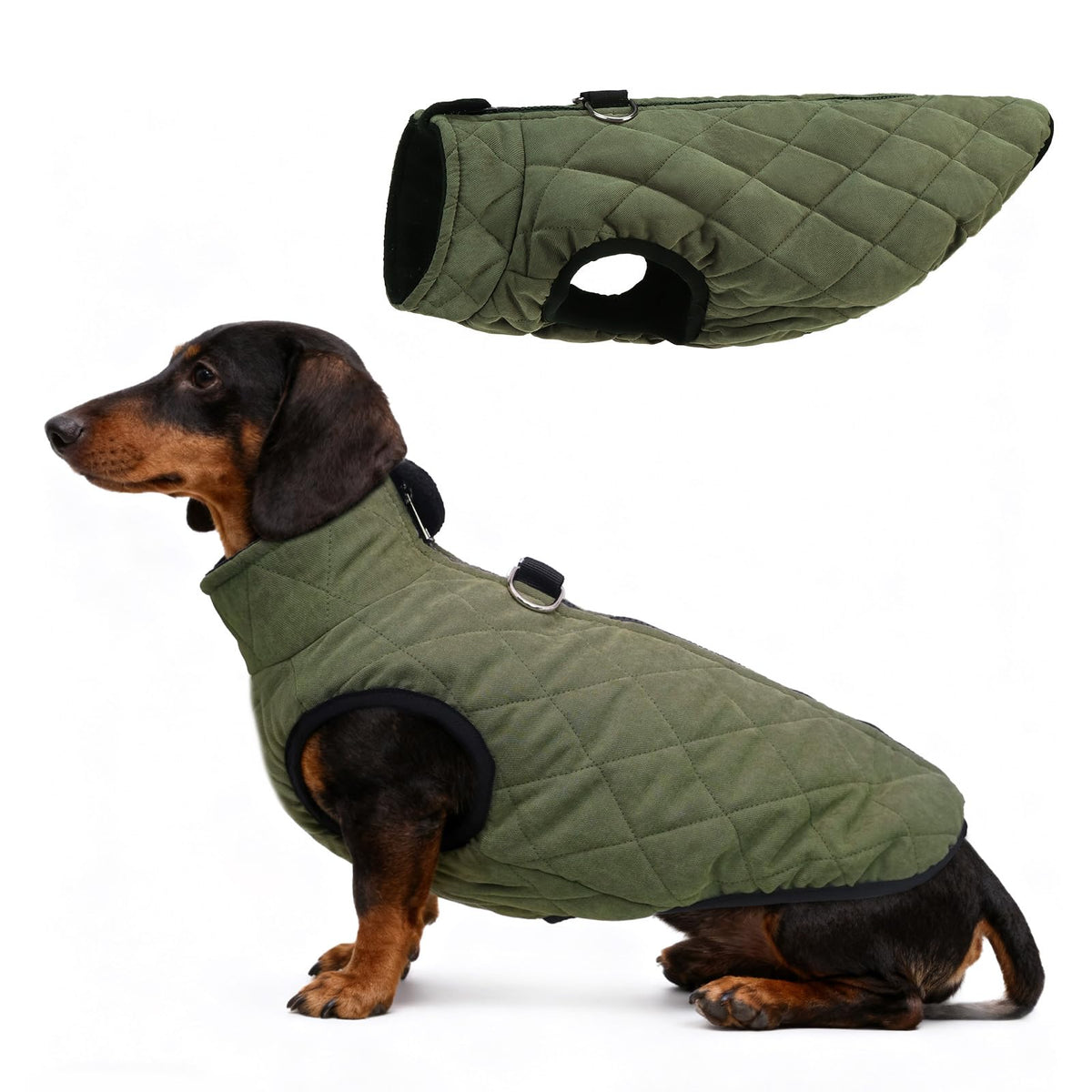 SCENEREAL dachshund invierno chaleco con arnés integrado para paseos cómodos