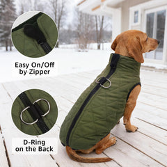 SCENEREAL chaleco dachshund invierno, vista trasera con cremallera, ajuste cómodo