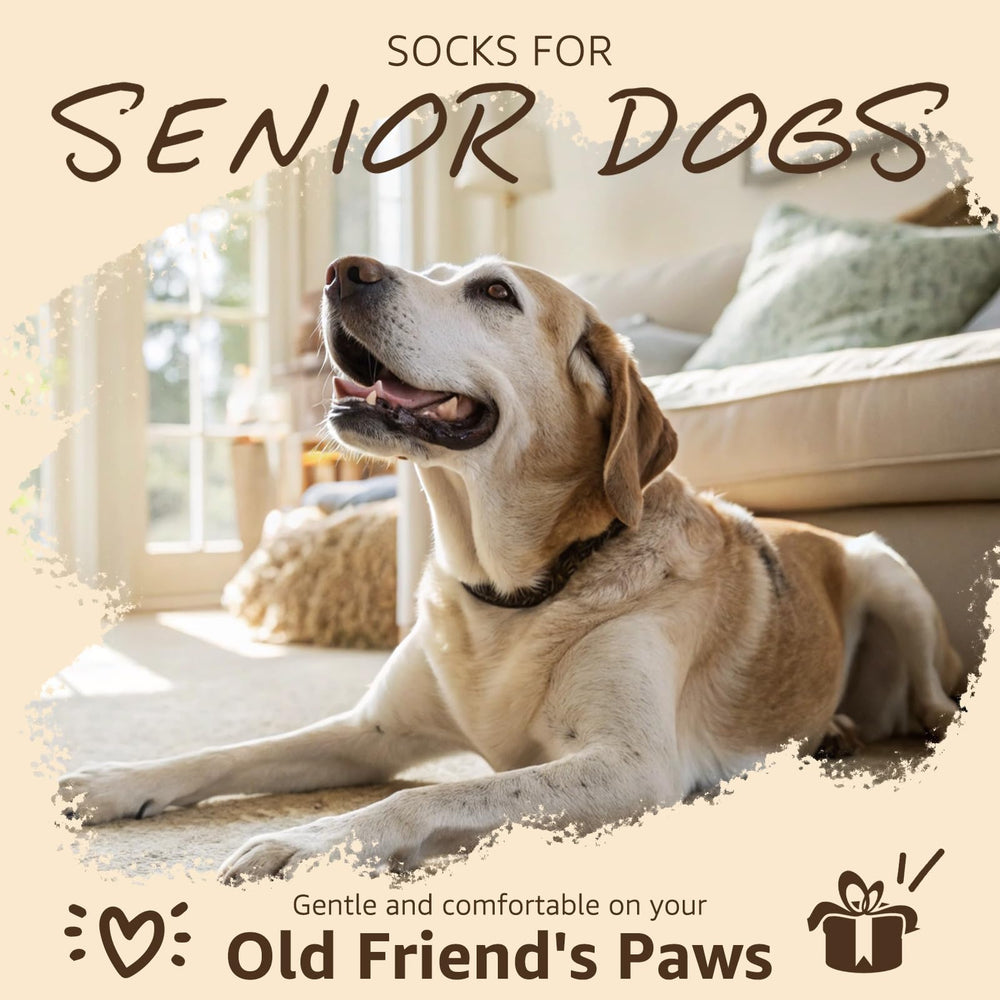 SCENEREAL Diseño suave para la comodidad de perros mayores