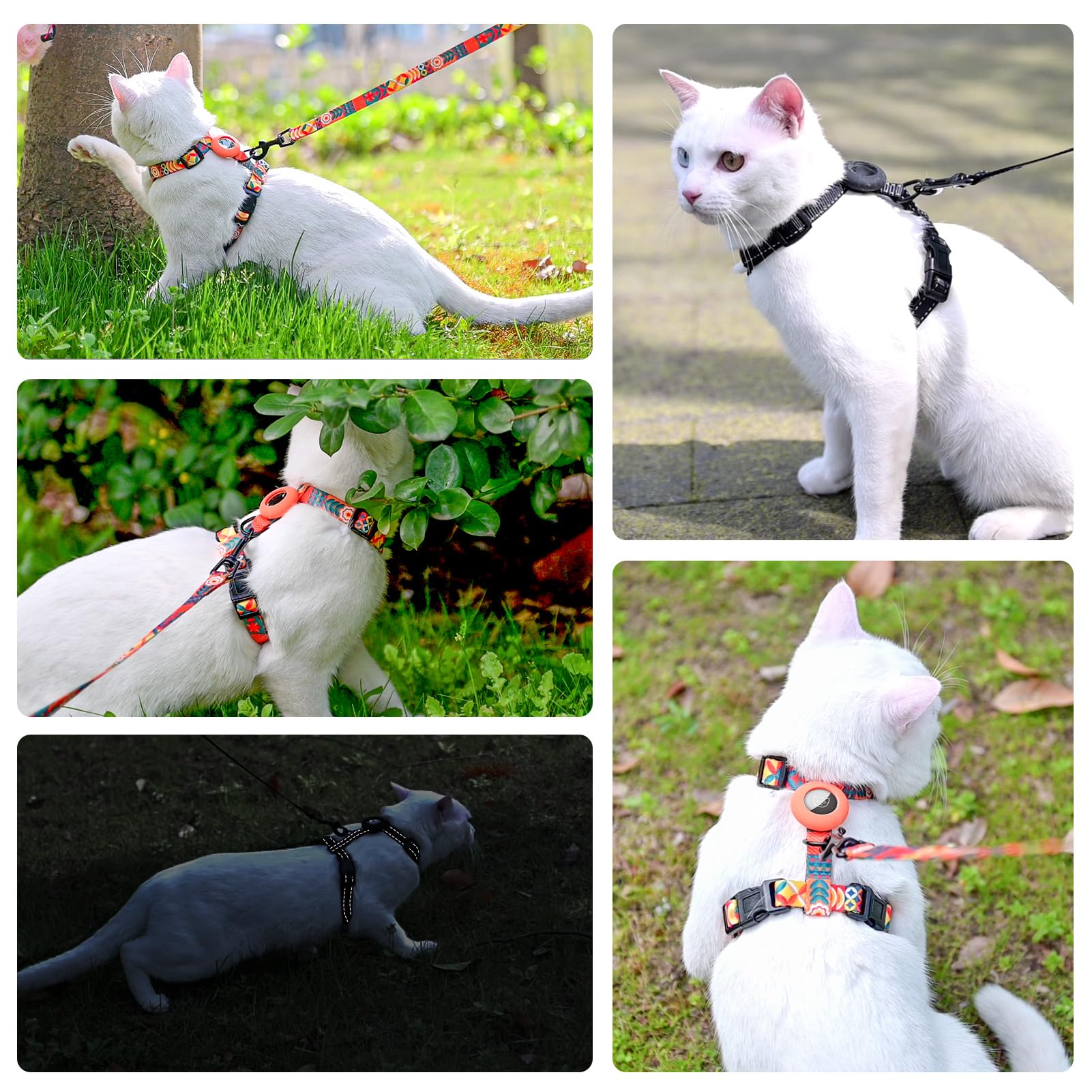 SCENEREAL empaque del arnés para gatos, fácil de comprar.