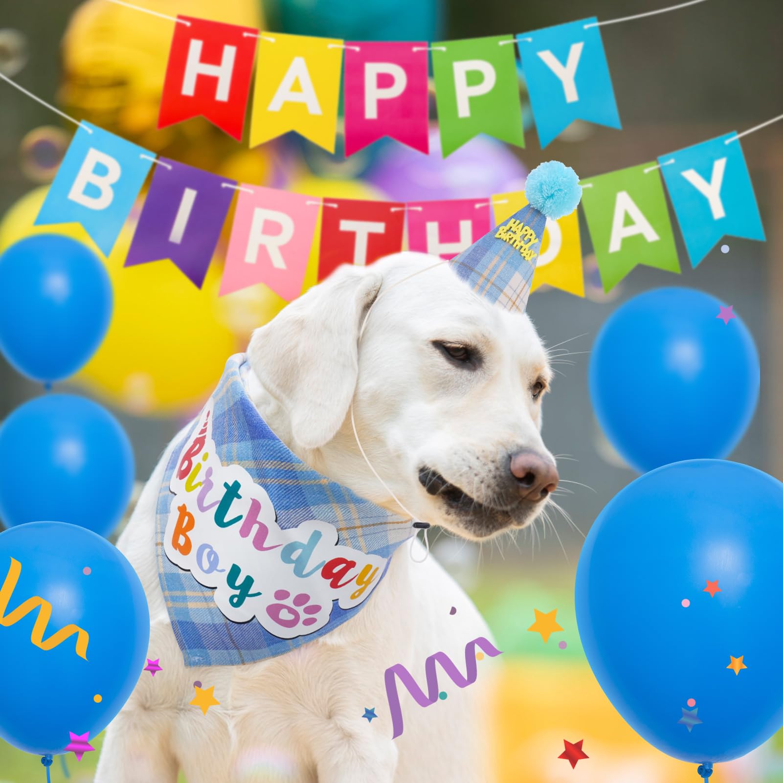 SCENEREAL escena festiva para perro, convierte la celebración en recuerdo.