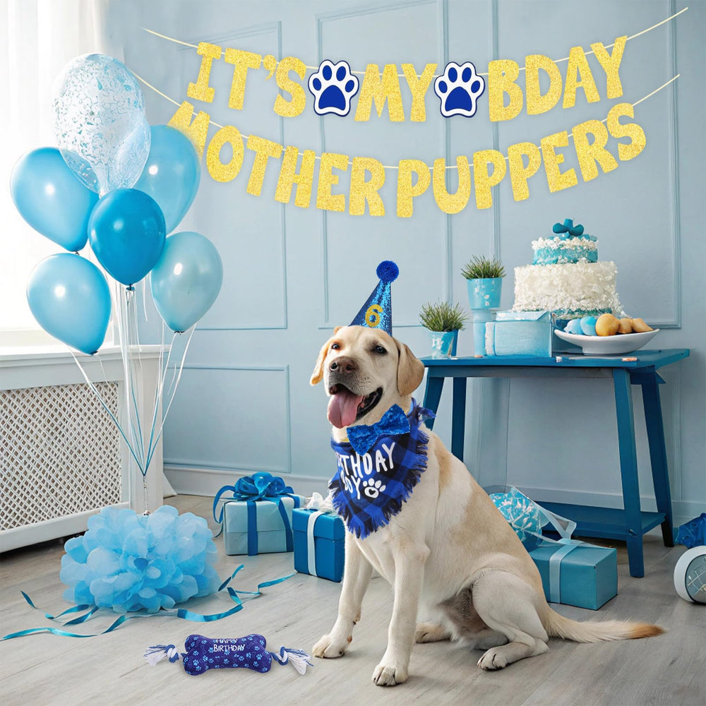 SCENEREAL kit de accesorios para cumpleaños de perros pequeños