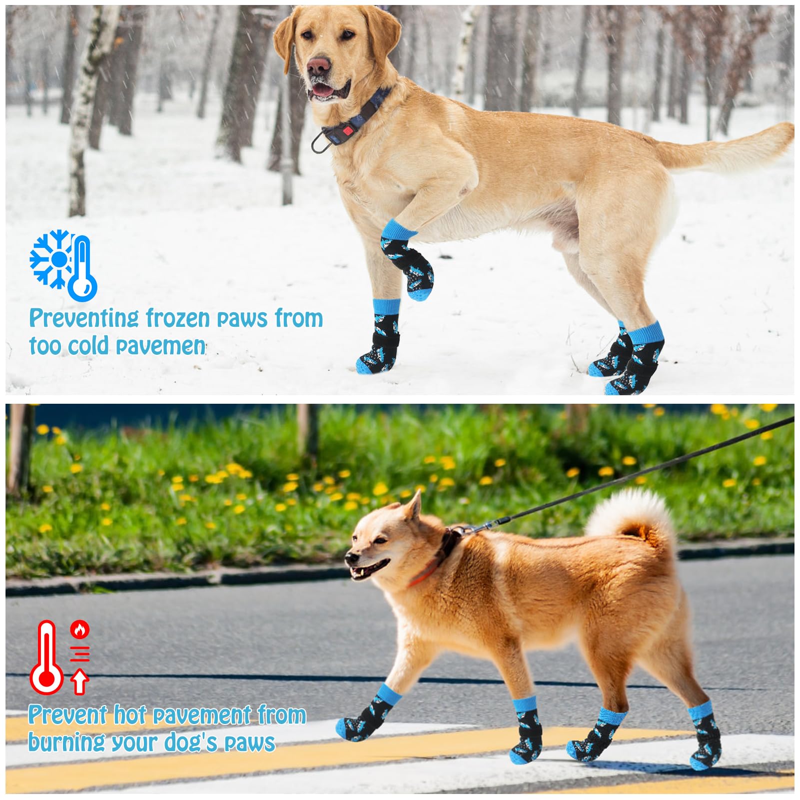 SCENEREAL diseño con patrón tiburón: estilo divertido para tu perro.