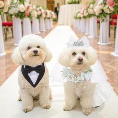 SCENEREAL velo con diamantes, elegante para fiestas caninas.