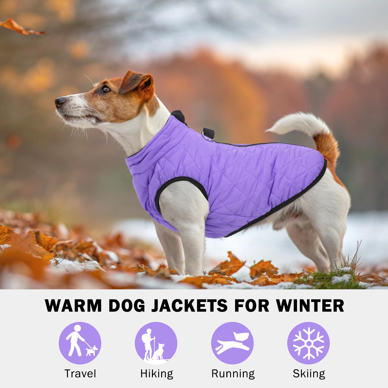 SCENEREAL chaleco impermeable: protección contra lluvia y nieve ligera.