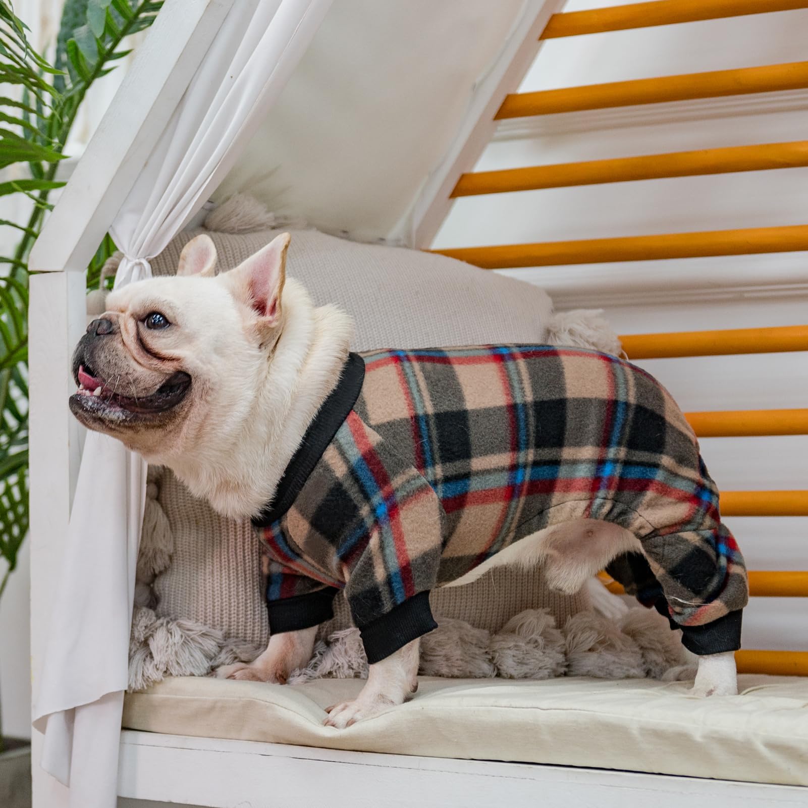 SCENEREAL pijama para perro puños elásticos