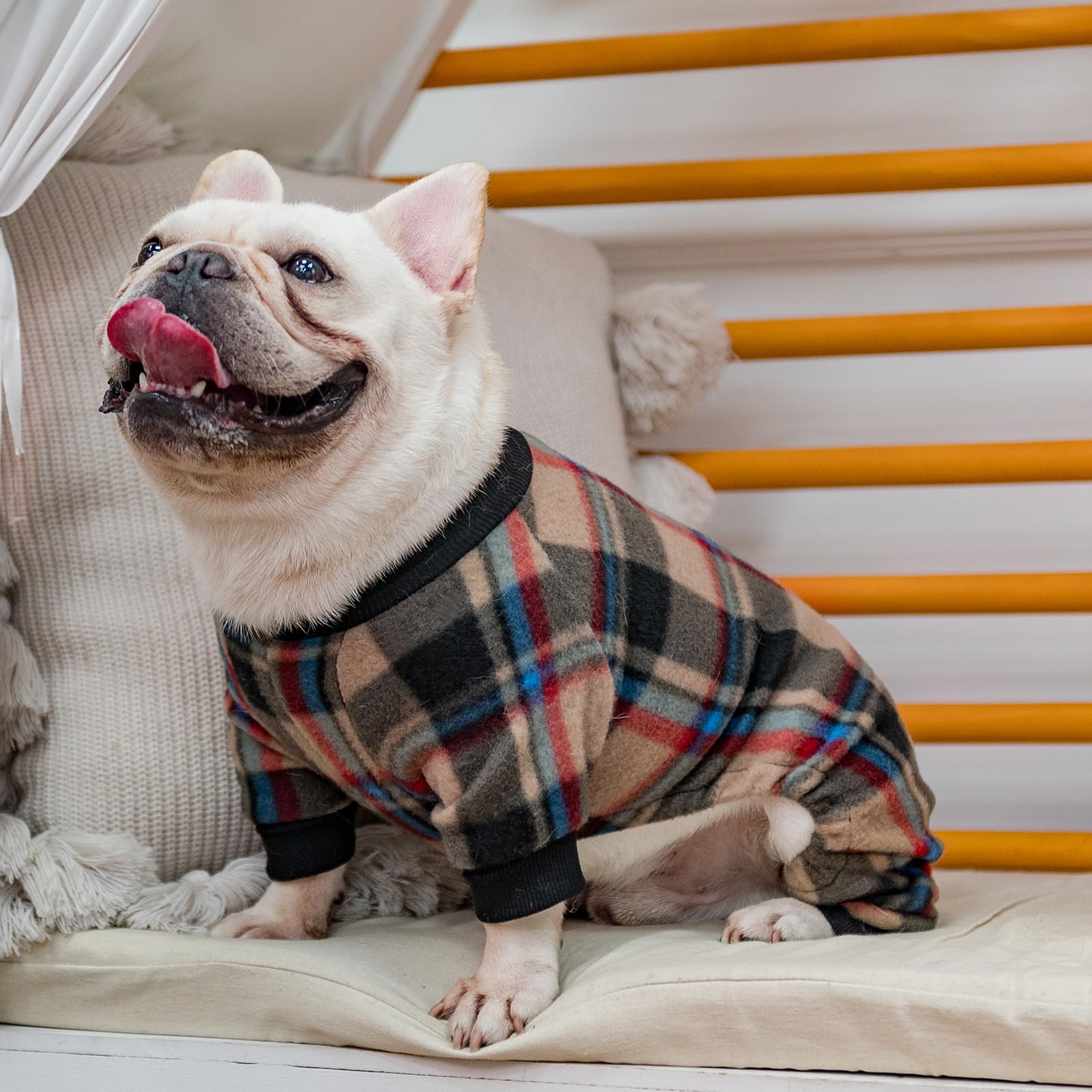 SCENEREAL pijama para perro uso diario y fiestas, cómodo