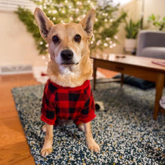 SCENEREAL pijamas perro diseño de cuadros clásico, look festivo para ocasiones.