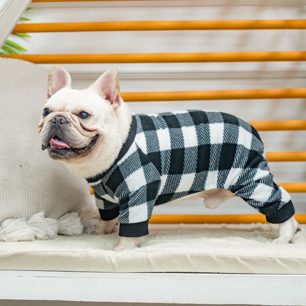 SCENEREAL pijamas para perro ideal para sesiones de fotos o eventos