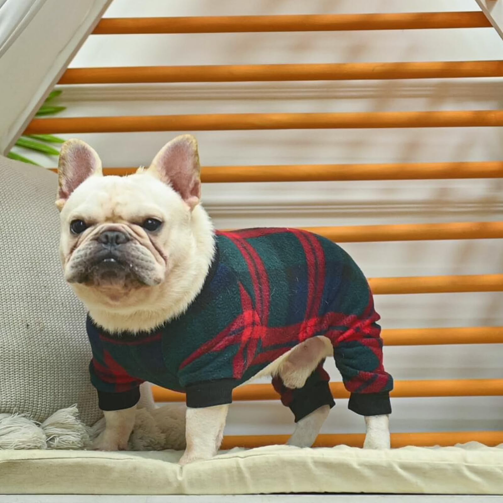 SCENEREAL pijamas perro talla amplia, apto para perros grandes.