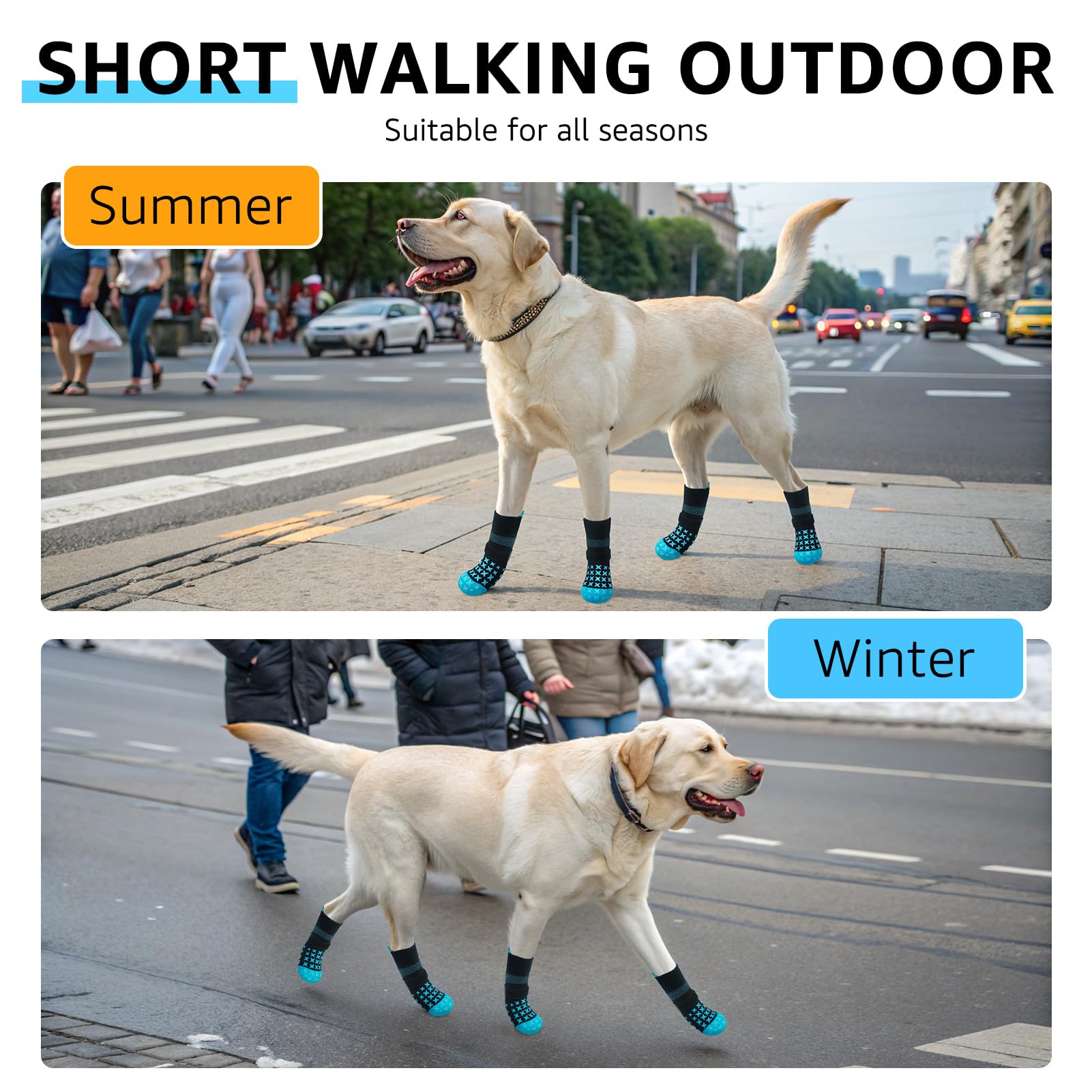 SCENEREAL Prevención de lamidos de patas sin ser invasivo