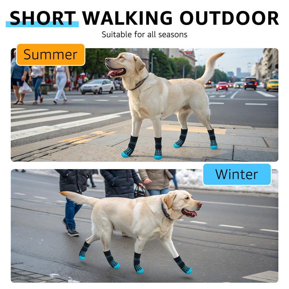 SCENEREAL Prevención de lamidos de patas sin ser invasivo
