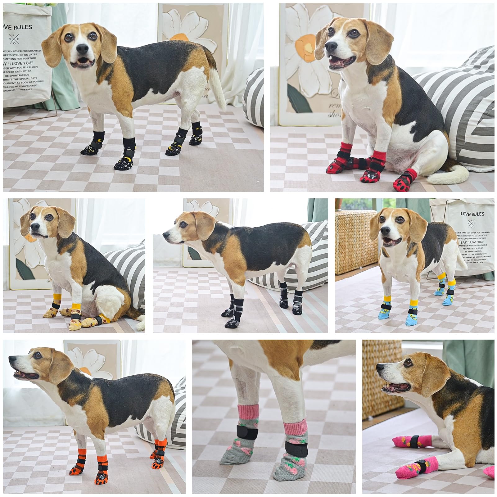 SCENEREAL protección de patas para suelos fríos y calientes durante salidas cortas.