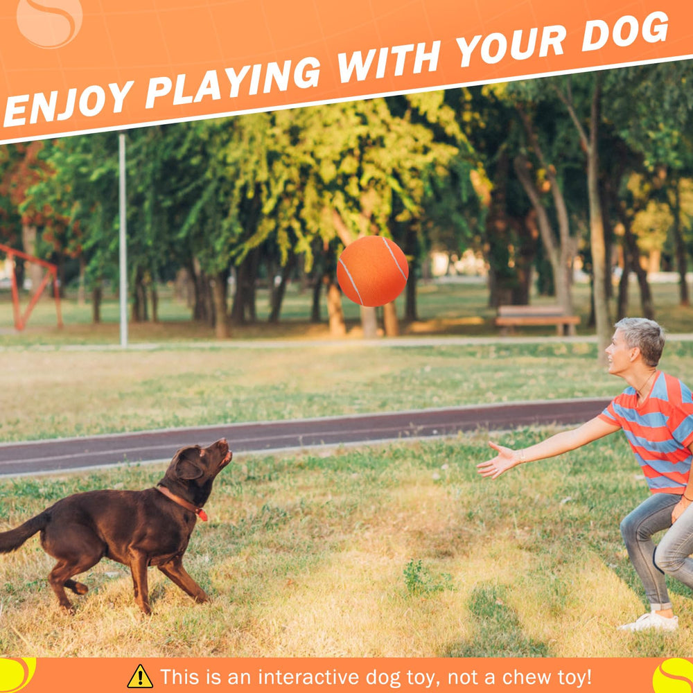 SCENEREAL Regalo canino ideal para cumpleaños y fiestas.