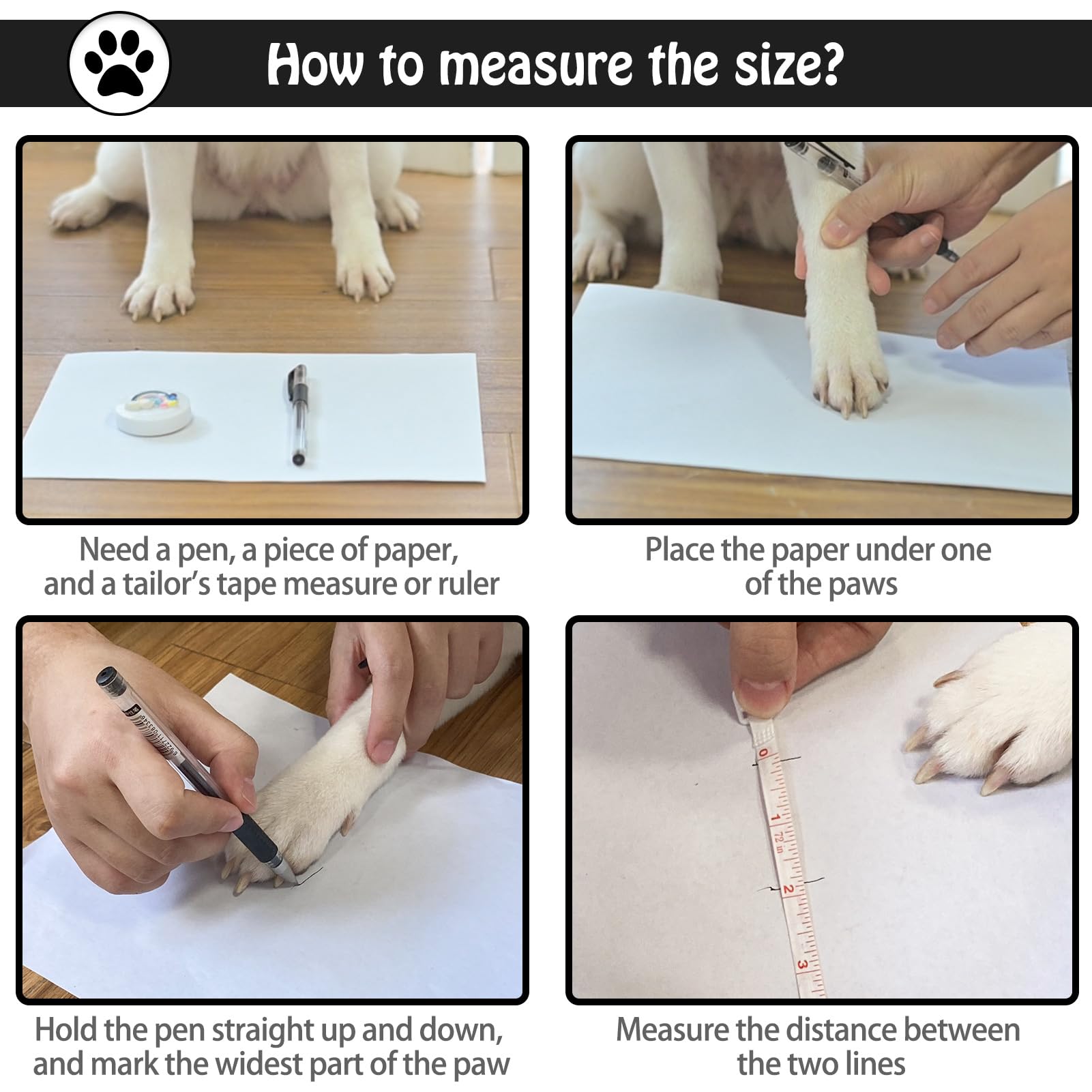 SCENEREAL regalo perfecto para perros de varias tallas y estilos.