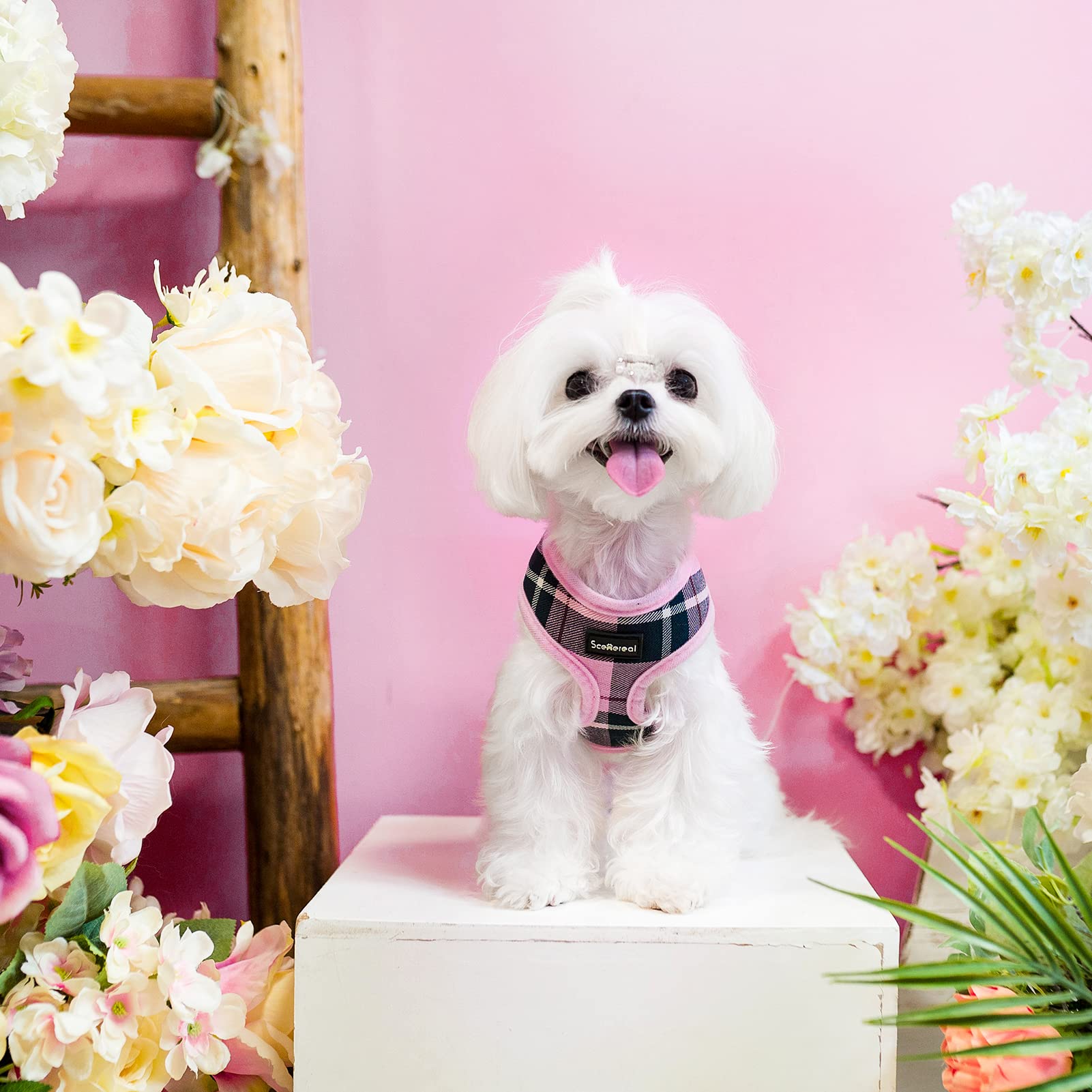 SCENEREAL set arnés y correa rosa para perros y gatos
