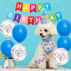 SCENEREAL sombrero de cumpleaños para perro azul, cómodo y seguro para fotos.