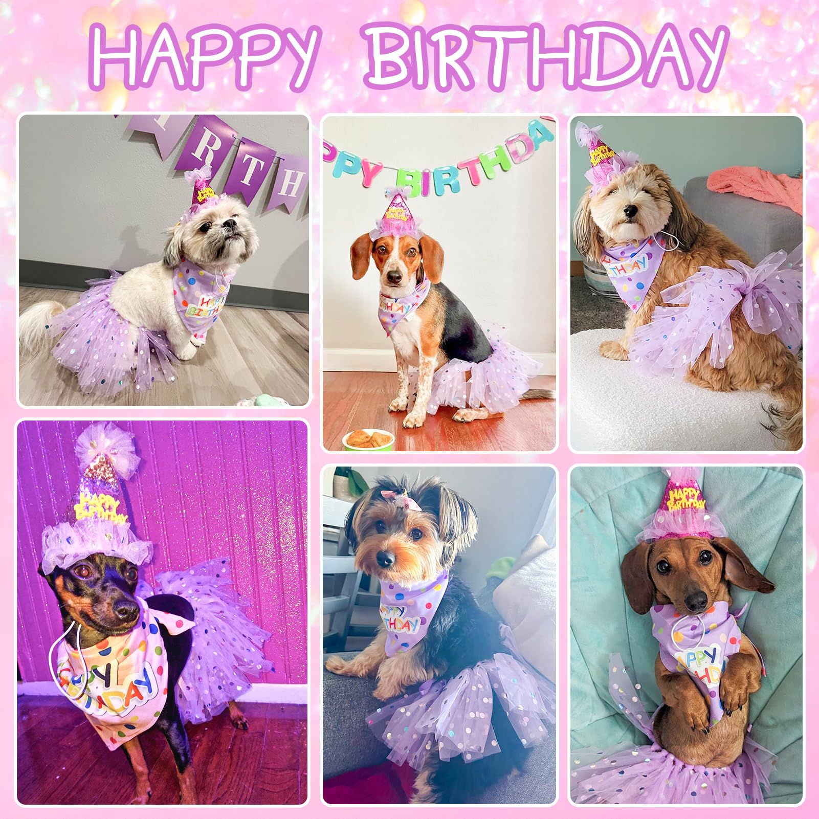 SCENEREAL sombrero de cumpleaños para perros, seguro y ajustable.