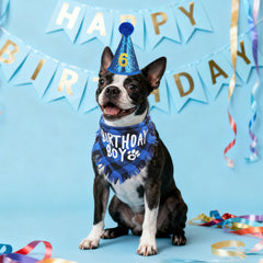 SCENEREAL sombrero de cumpleaños para perro, perfecto para momentos festivos.