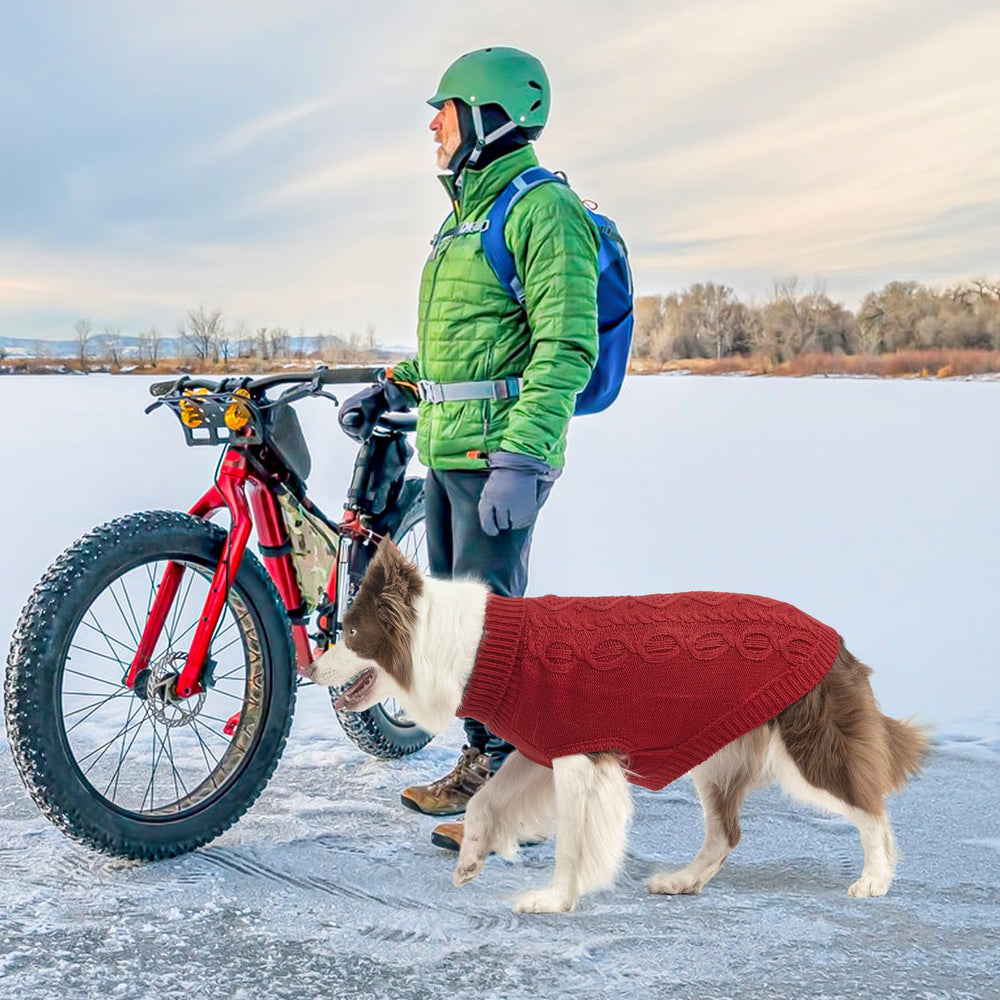 SCENEREAL sudadera para perro burdeos uso diario en casa