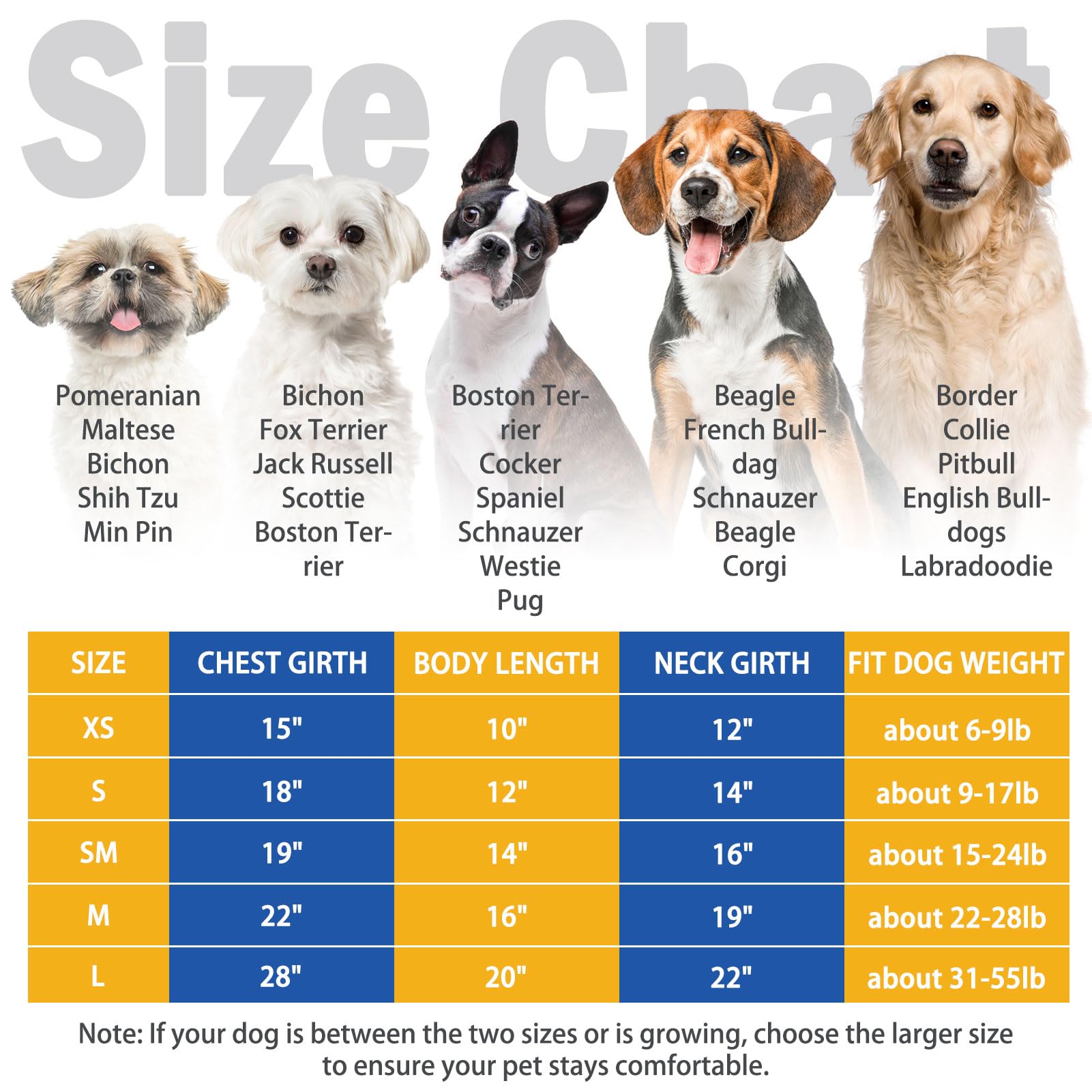 SCENEREAL sudadera para perros capucha detalle, destaca costuras duraderas y estilo moderno.