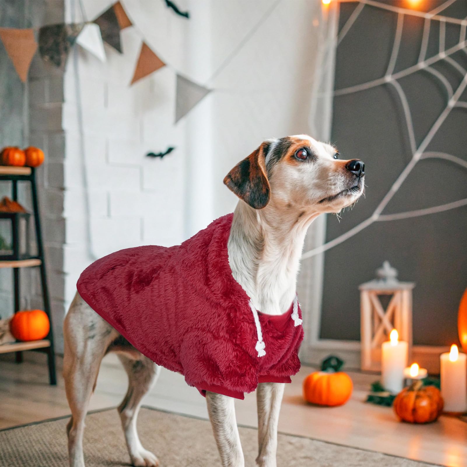 SCENEREAL prenda tipo sudadera, fácil de poner y quitar para perros