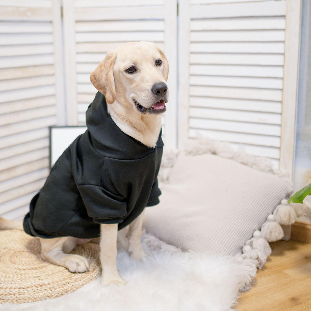 SCENEREAL sudadera para perros lavable a máquina, fácil limpieza tras salidas diarias.