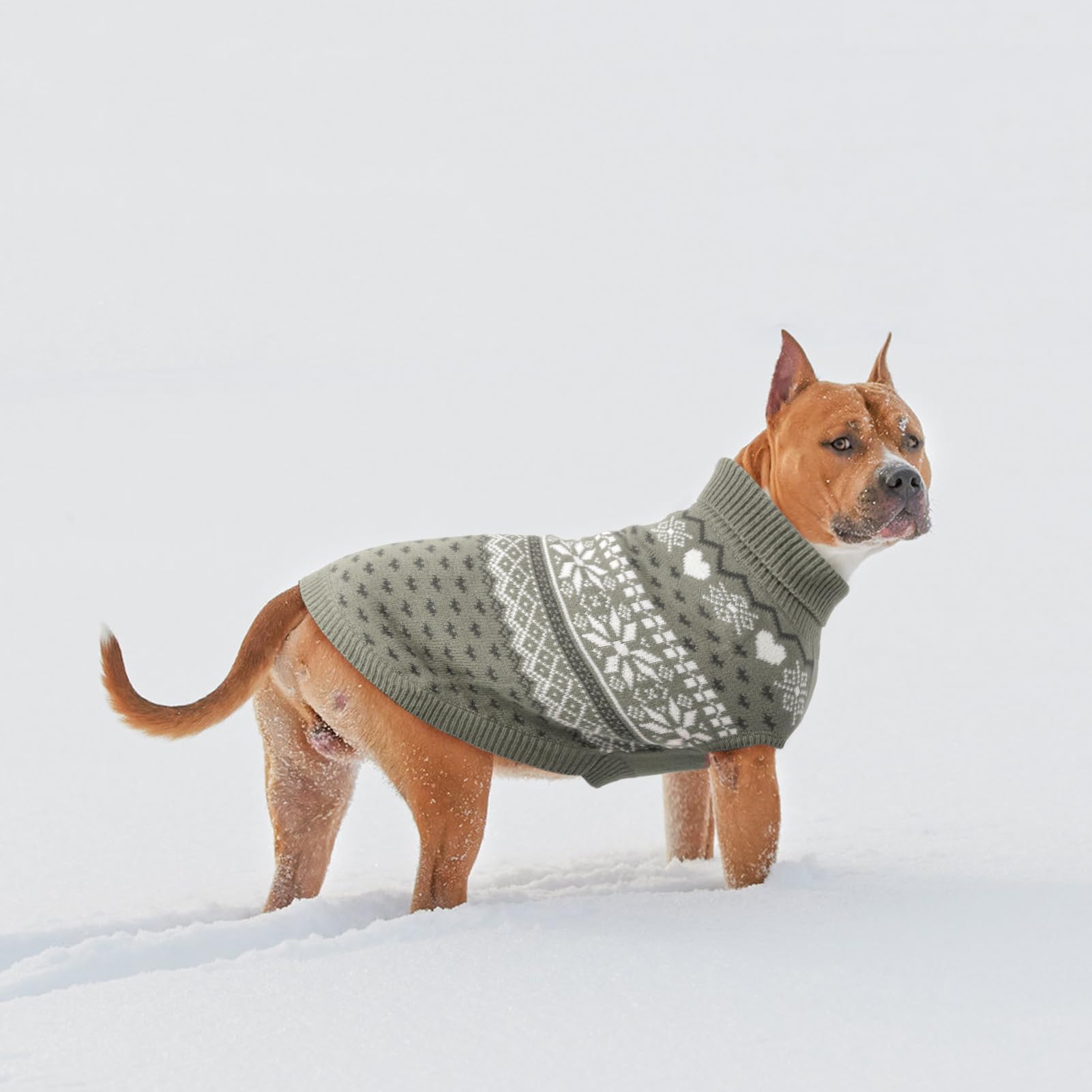 SCENEREAL sudadera para perro mediano, lavado a mano recomendado para conservar el tejido.