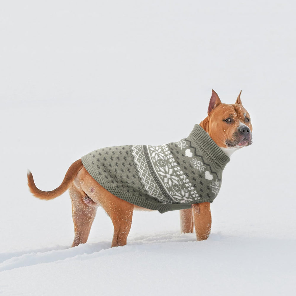 SCENEREAL sudadera para perro mediano, lavado a mano recomendado para conservar el tejido.