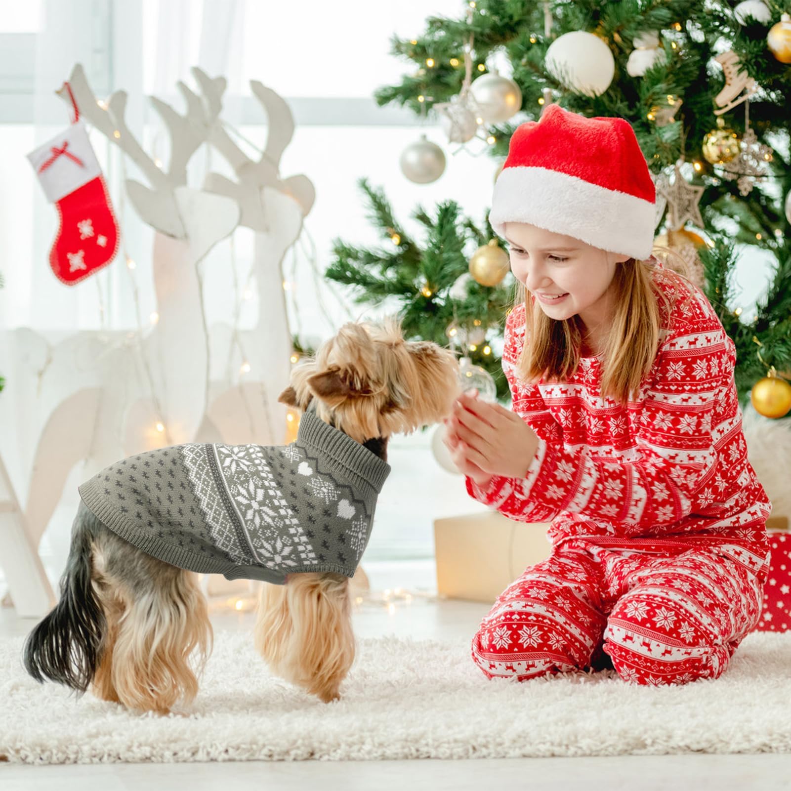 SCENEREAL sudadera para perro mediano en varios colores, lista para uso diario.