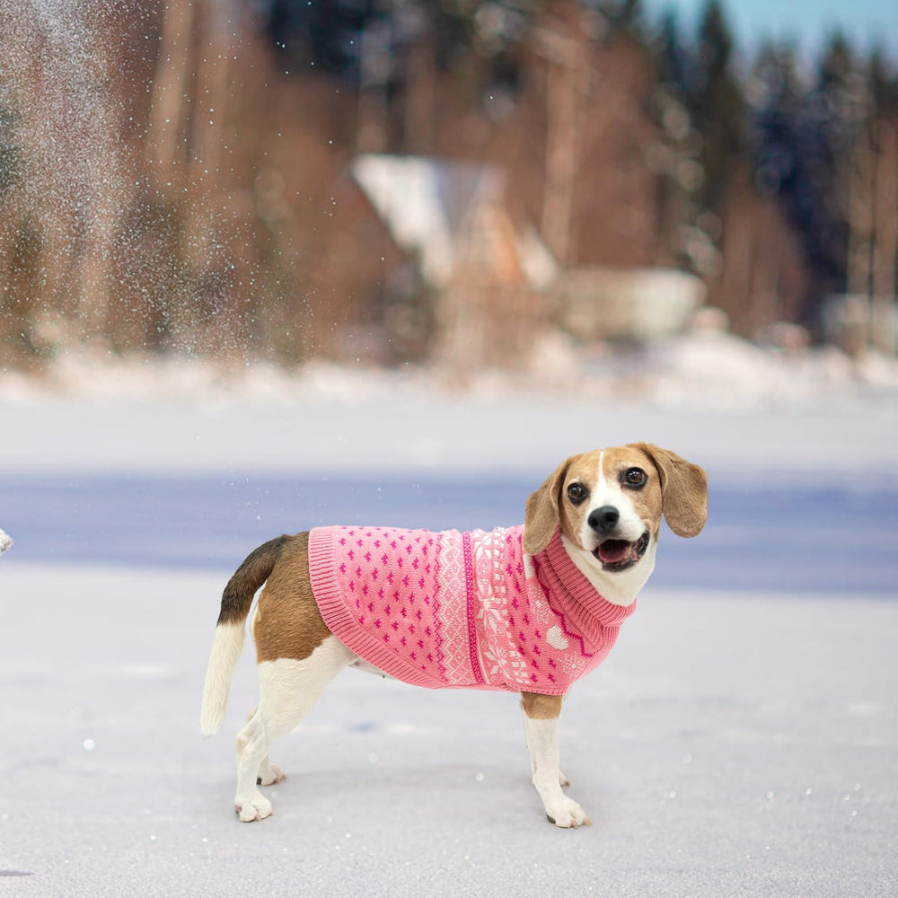 SCENEREAL suéter perro paseo invernal: ideal para salidas al frío.