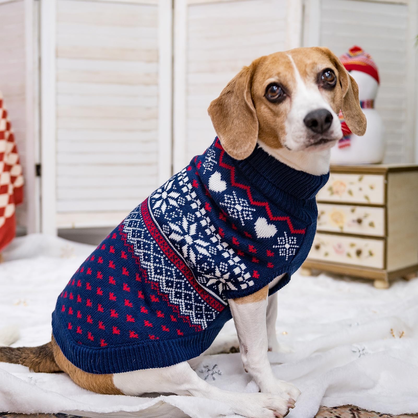 SCENEREAL: suéter para perro pequeño con cuello alto, protege del viento