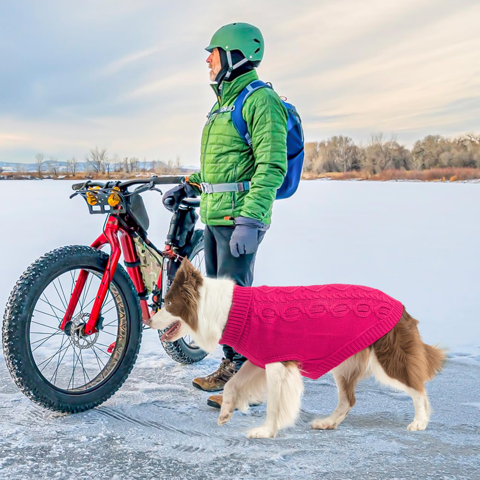 SCENEREAL suéter de perro, ranura para correa, práctico en paseos seguros