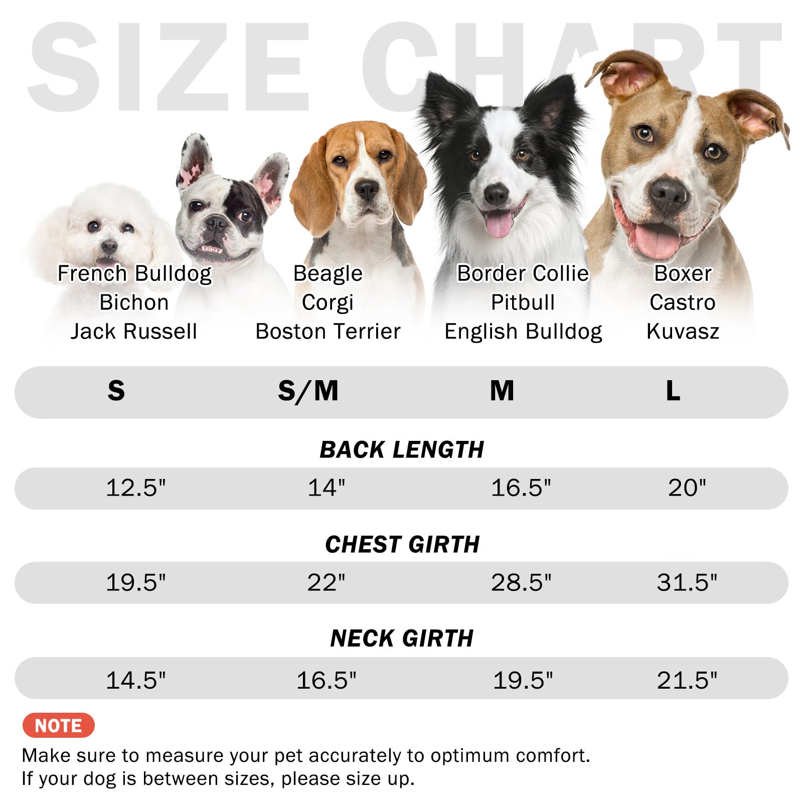 SCENEREAL tabla de tallas con cuatro opciones para ajuste perfecto