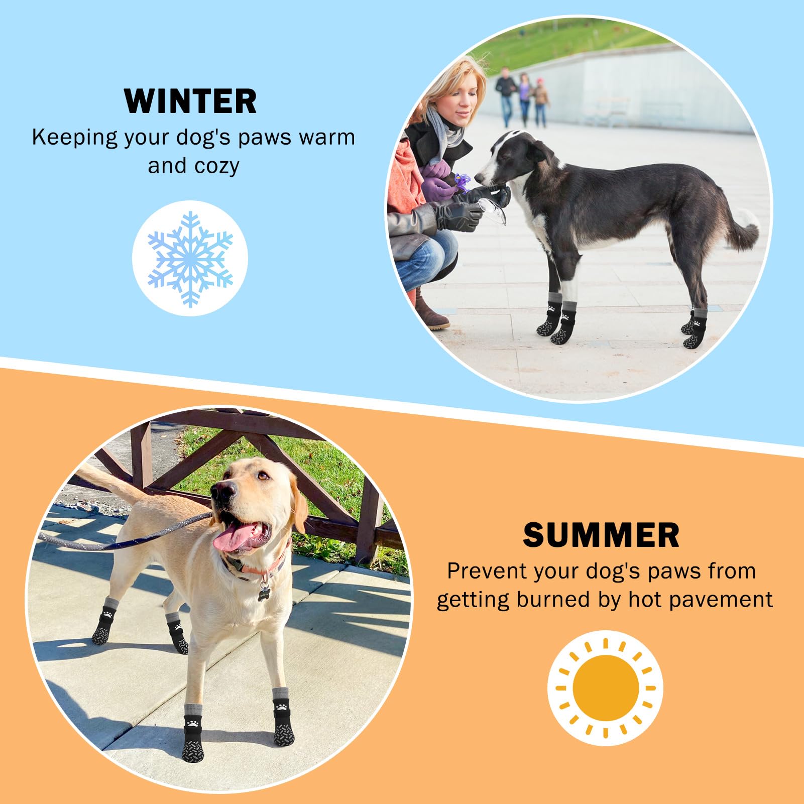 SCENEREAL uso recomendado para perros mayores que buscan mayor seguridad al andar.