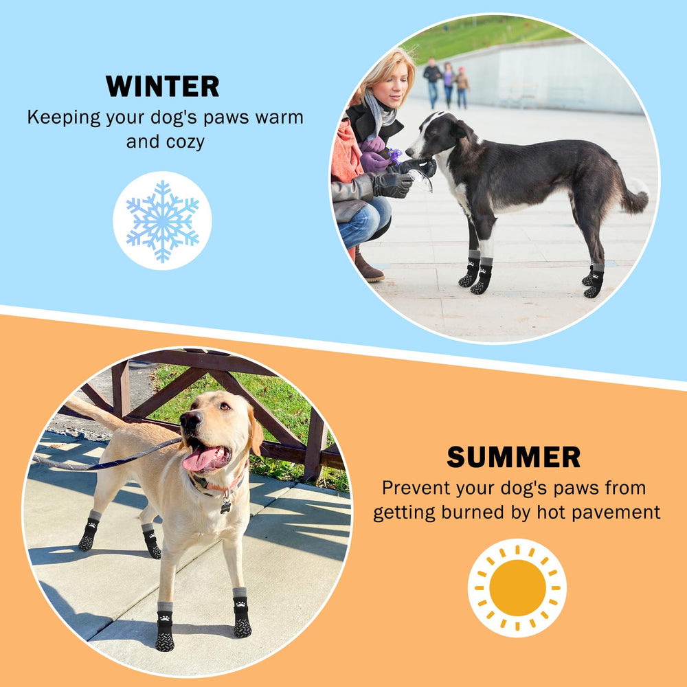 SCENEREAL uso recomendado para perros mayores que buscan mayor seguridad al andar.