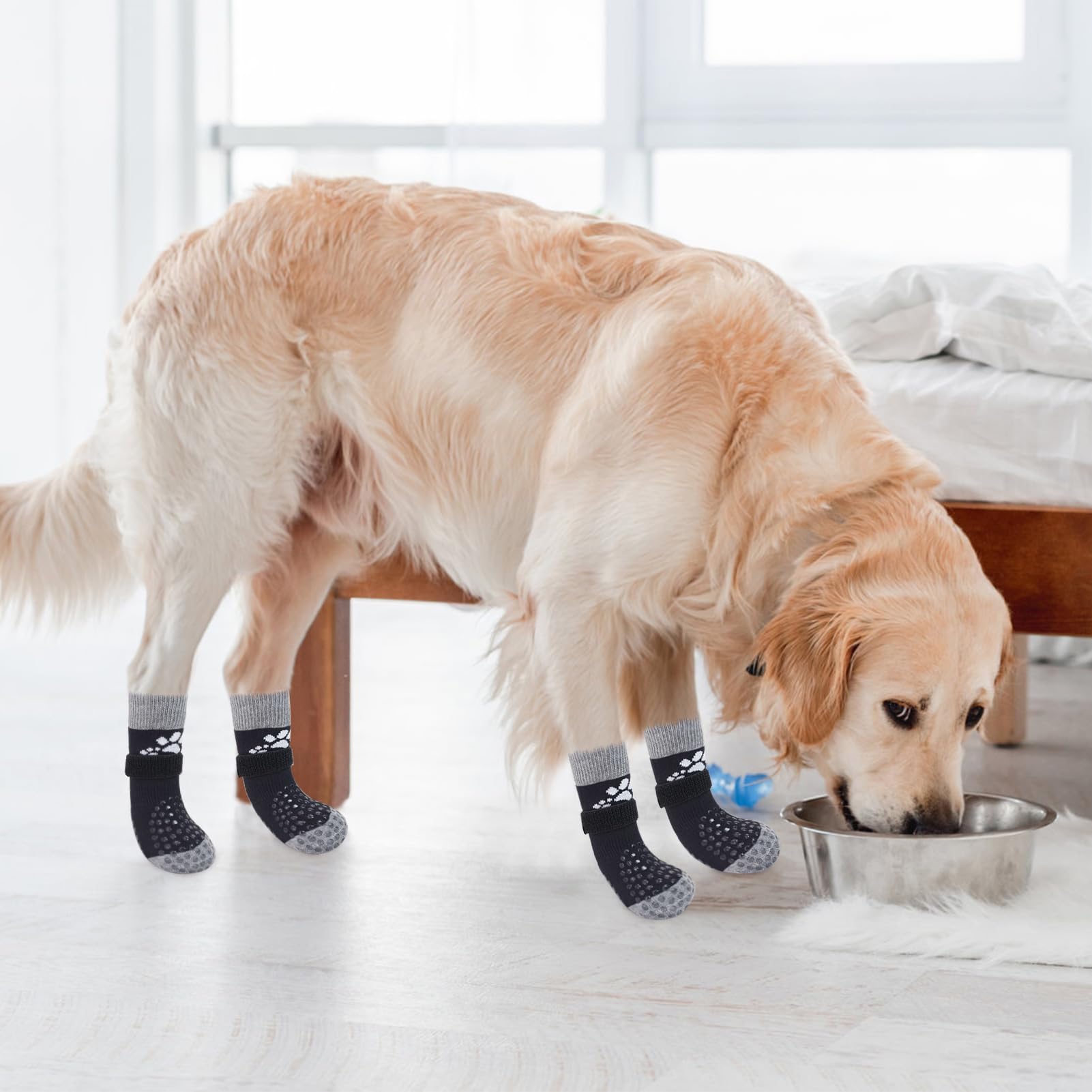 SCENEREAL uso versátil en interiores y exteriores para patas de perro