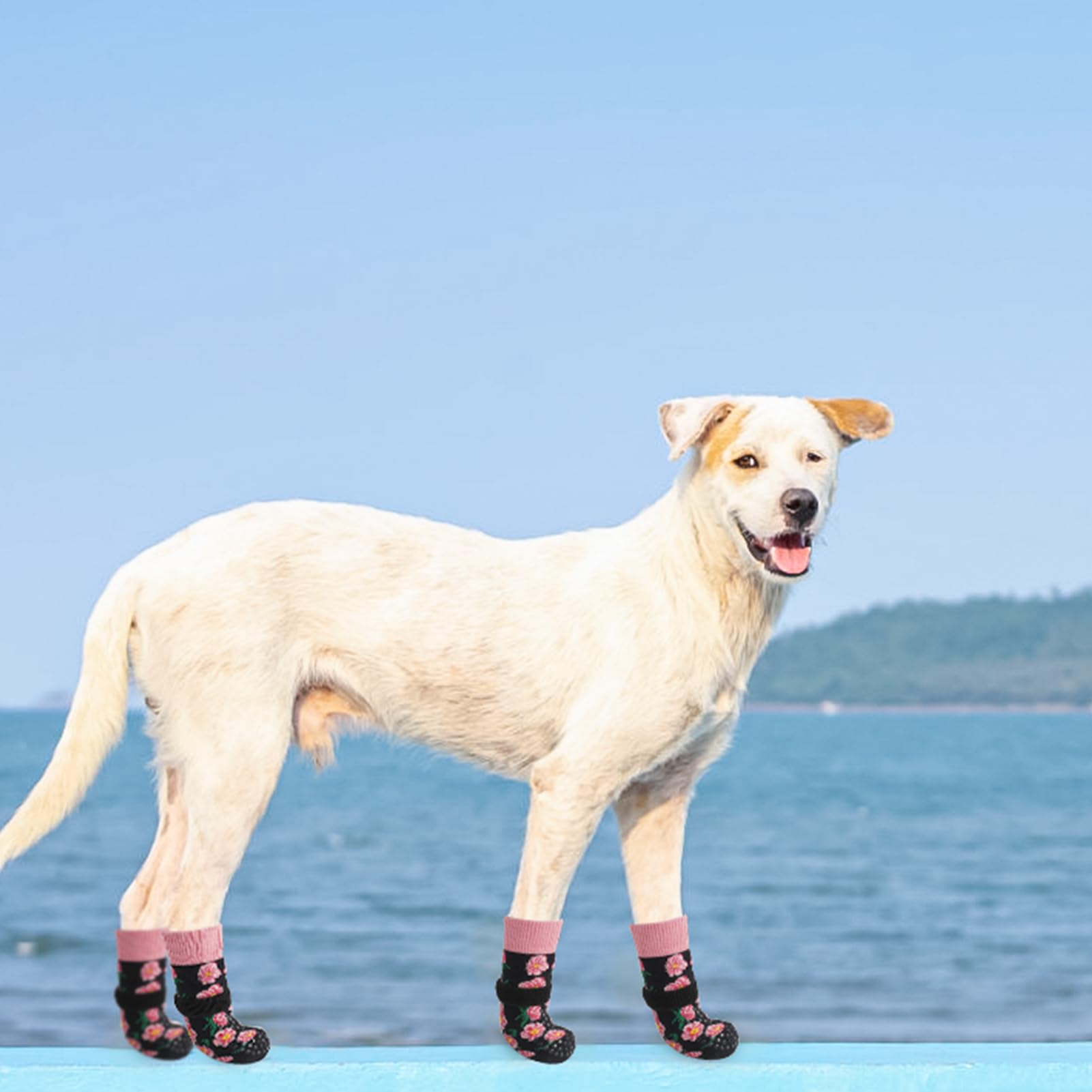 SCENEREAL talla S adecuada para patas pequeñas con ajuste cómodo