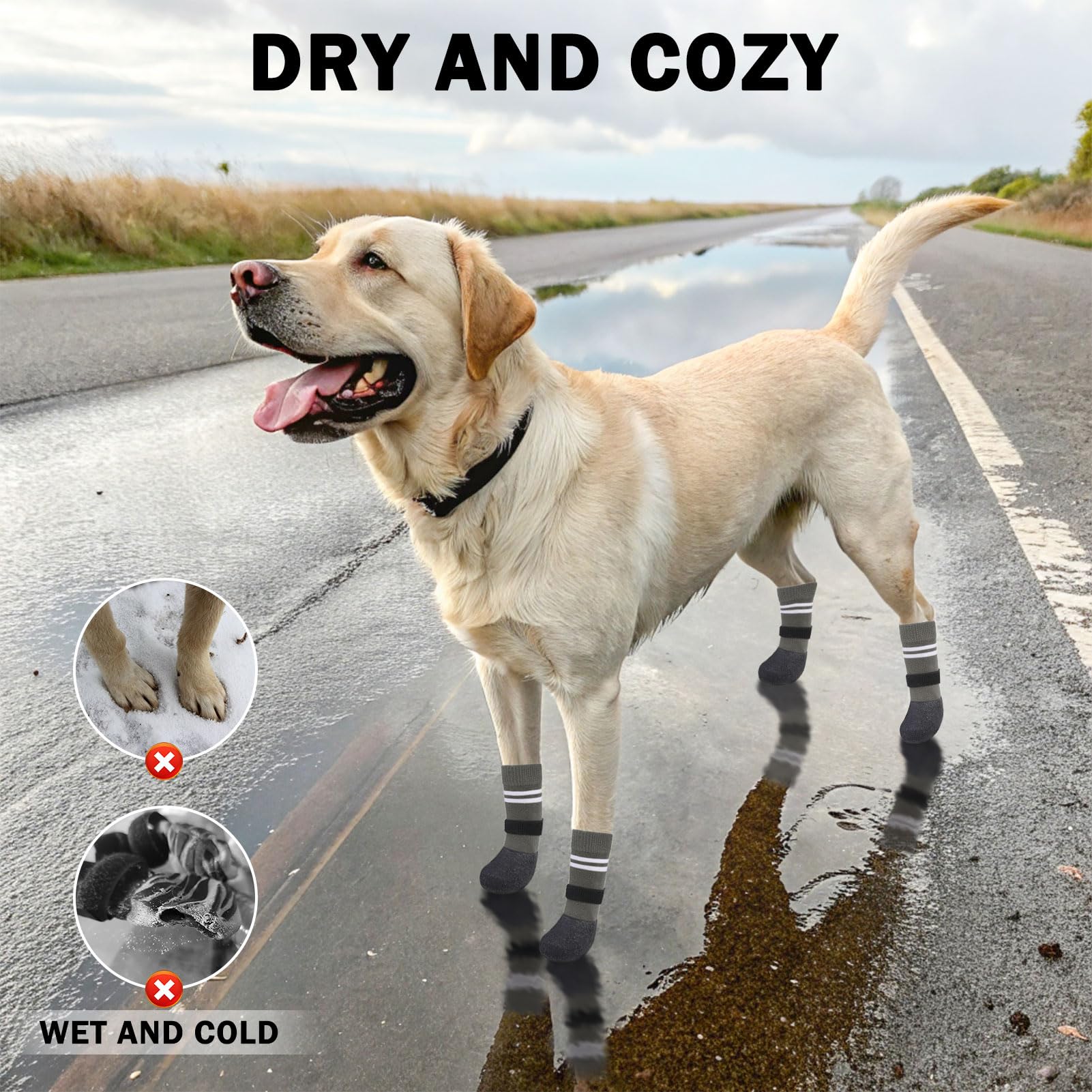 SCENEREAL botas para perro contra frío, protección de patas en invierno.
