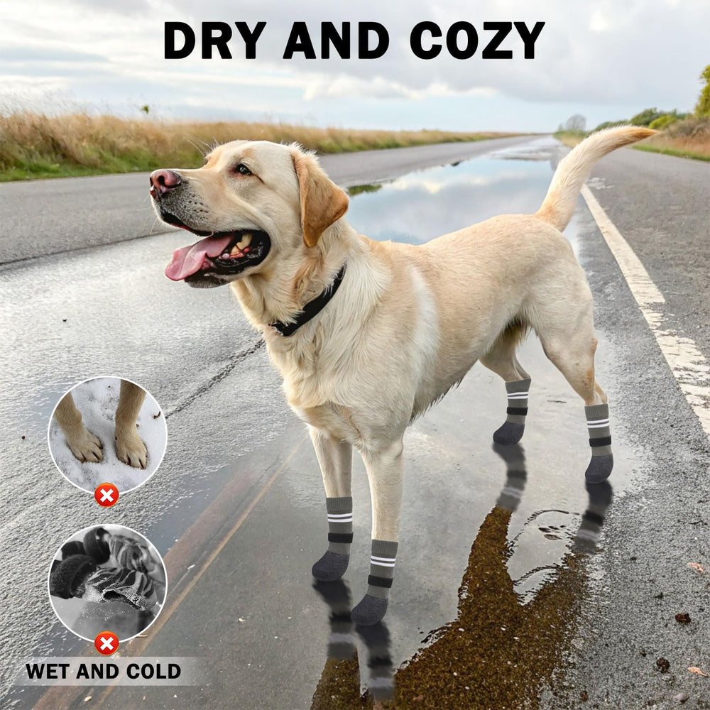 SCENEREAL botas para perro contra frío, protección de patas en invierno.