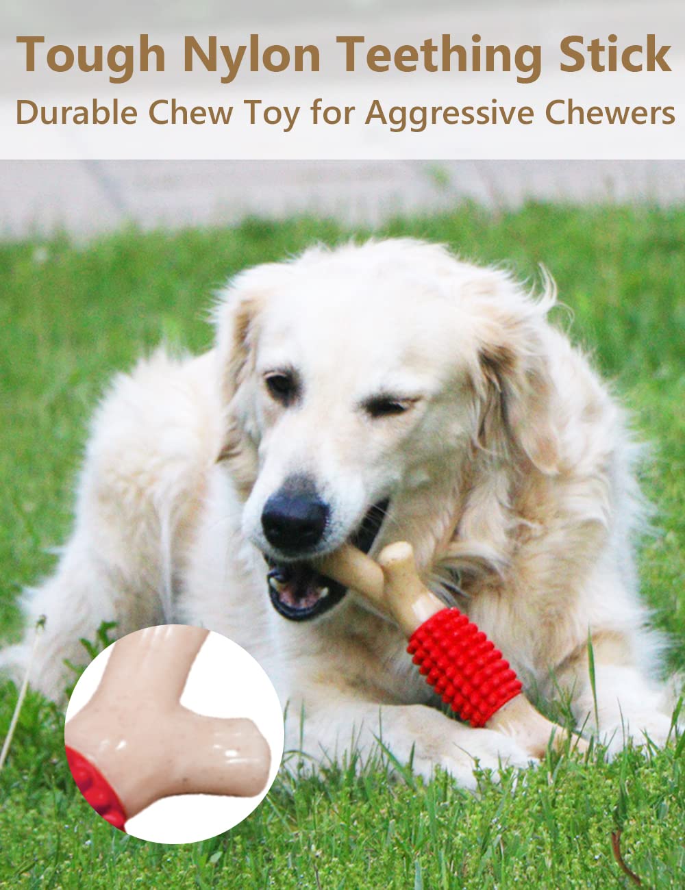 SCHITEC protuberancias de goma para limpieza de dientes durante la mordida.
