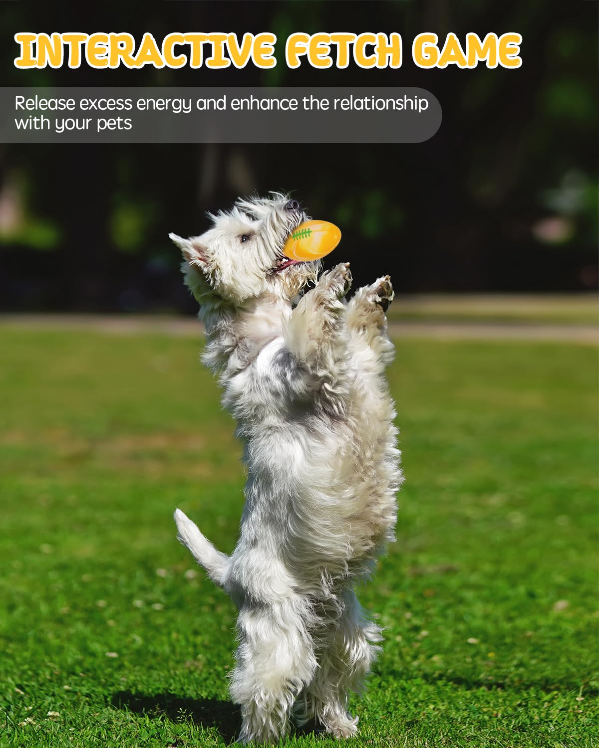 Pelotas SCHITEC para perros de distintos tamaños, opciones para mordedores suaves.