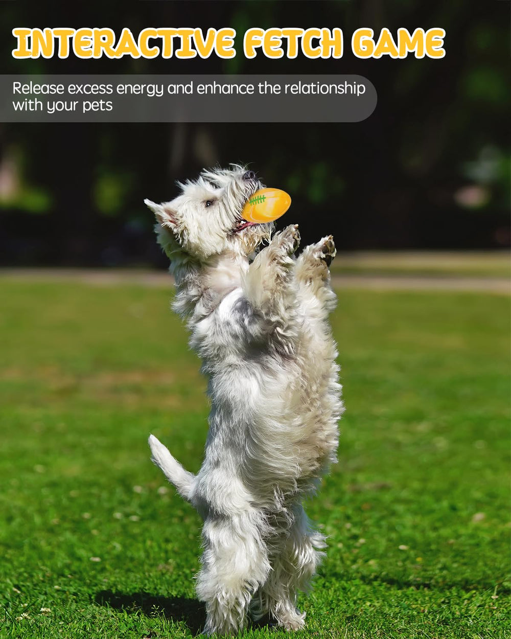 Pelotas SCHITEC para perros de distintos tamaños, opciones para mordedores suaves.