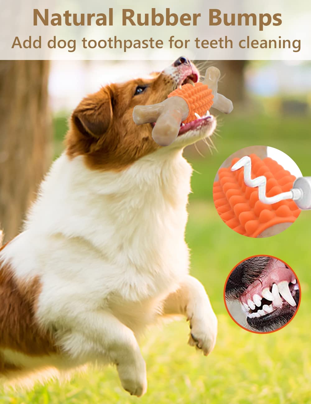 SCHITEC sabor a arce real atrae perros durante el juego
