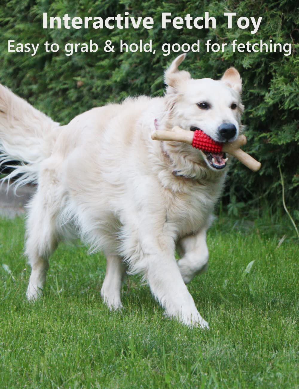 SCHITEC tamaño 10-8-3 pulgadas para perros medianos y grandes.