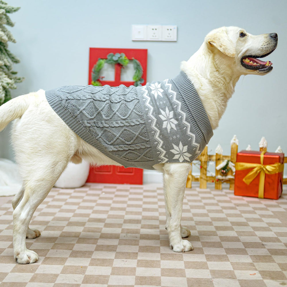 SCIROKKO sudadera gris para perros, detalle de solapa para un look elegante.