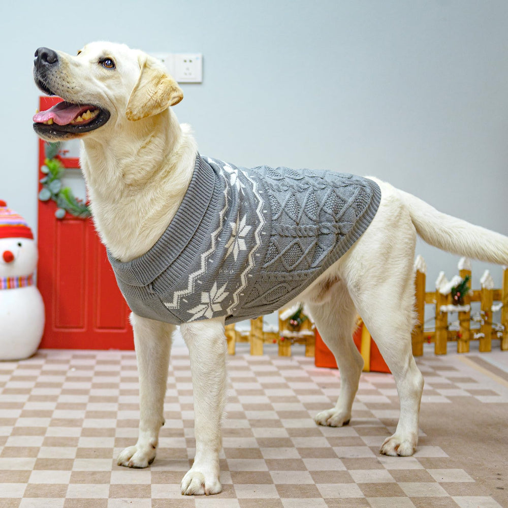 SCIROKKO suéter para perro, vista trasera, diseño clásico y cómodo.