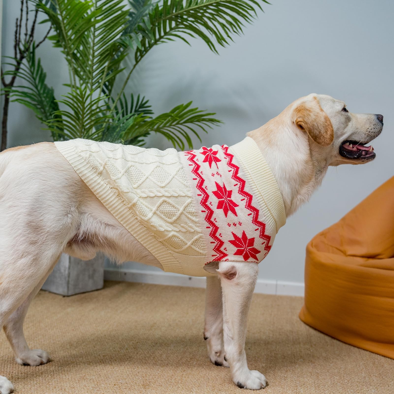 SCIROKKO sudadera de punto clásico rosa, patrón atemporal para perros.